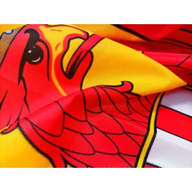 FLAGLY Premium Burgenland Flag 100 x 150 cm - 115 g/m² Fabric Weight - Printed, Robust and Weather-Resistant Gloss Polyester with Eyelets (100 x 150 cm, Burgenland)