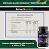 Cardo Mariano con Diente de León | Extractos Herbales Naturales
