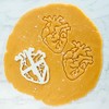 Cortador de galletas anatómico Corazón, 1 pieza - Bakerlogy
