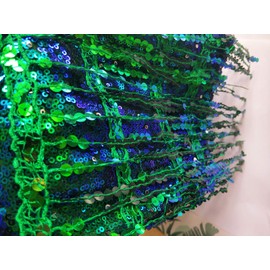 Yollmart Women's Sequins Tassel Skirts Shorts Booty Dance Festival Bottoms, Green, Medium