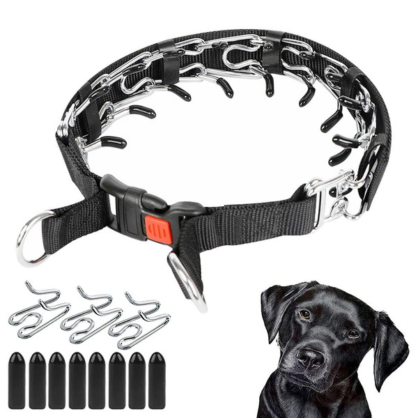 Acrylicc Dog Prong Training Collar, Prong Collar for Dogs, Adjustable