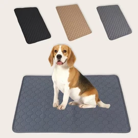 Waterproof Seat Protector (22.4X 16.9)” - Blue Absorbent Seat Covers - Waterproof Chair Pad for Incontinence Washable - Chair Pad Protectors - Incontinence Pads for Kids, Pets, Adults, & Seniors