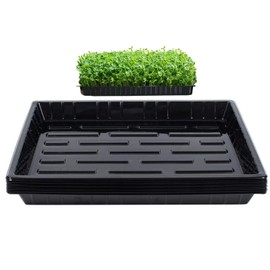 BeGrit Pack of 5 Germination Trays Water Tray without Bottom Holes (37 x 30 x 3.5 cm) Plant Bowl Black Multi-Purpose Tray Safetray Propagation Box for Plants Various Seeds Transfer Pallets