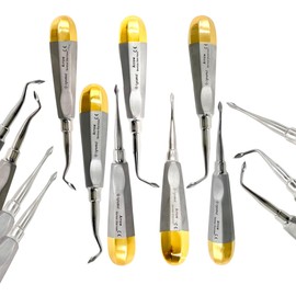 Bernard Root Dental Elevator Pick, Straight Arrrow Tip & Angled Arrow Tip, Gold-Color Hollow Handle | Autoclave-Safe German Stainless Steel (7-Piece Bundle Set)
