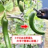 Geely Catch Shears, Made in Japan, Cut and Grab, Easy