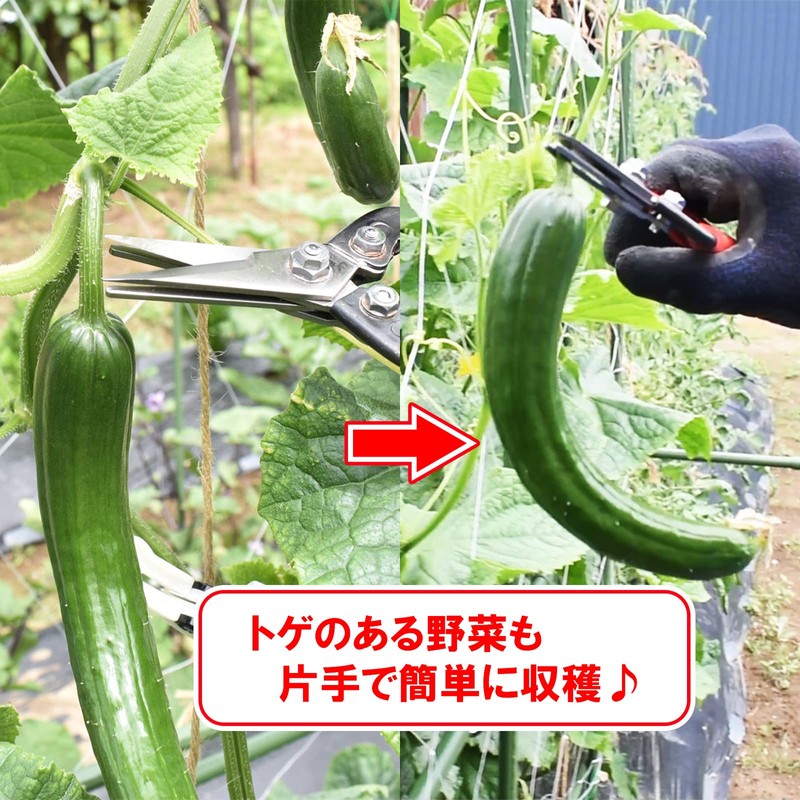 Geely Catch Shears, Made in Japan, Cut and Grab, Easy