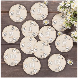 12Pcs hölzerne Baby-Meilenstein-Karten 1-12 Monate Baby-Monats-Zeichen 3D Gänseblümchen doppelseitige Baby-Wachstum monatliche Holzscheiben 10cm runde Monat Baby-Geschenk-Set für DIY Graffiti Party