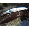 Blue Storm Lure, Sea Bass Lure, Fliramé, Floating Minnow, 110MD,
