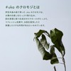【公式】uka(ウカ) IZU(イズ)クロモジ ウォーター ミスト/100ml 化粧水/乾燥対策 全身用 髪・顔・体 保湿 天然由来99% クロモジ