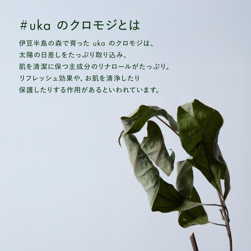 【公式】uka(ウカ) IZU(イズ)クロモジ ウォーター ミスト/100ml 化粧水/乾燥対策 全身用 髪・顔・体 保湿 天然由来99% クロモジ