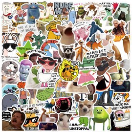 DAVBNM 110 Pcs Funny Stickers for Adults, Funny Meme Stickers, Decals Graffiti Colorful Waterproof Vinyl Sticker for Laptop, Computer, Phone, Water Bottle, Teens and Adults