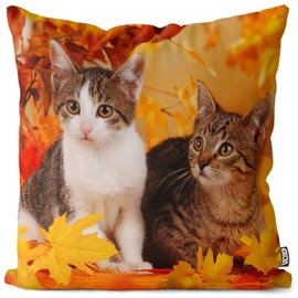 VOID Cats Autumn Cushion Cover Sofa Cushion Decorative Outdoor Cushion Decorative Cushion Size: 50 x 50 cm