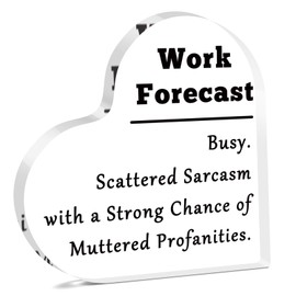 Work Office Gifts for Colleague Coworker Funny Office Desk Sign Acrylic Plaque for Coworker Bestie Friend Bosses Day Gifts for Boss Lady Employees Work Anniversary Humor Desk Decor