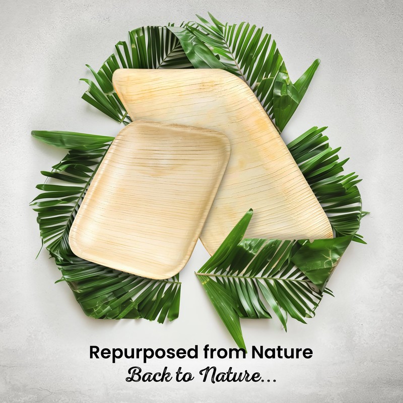 Eco Leaf 10 & 7 inch 50pcs Palm Leaf Square
