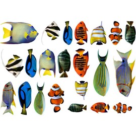 Samunshi Wandtattoo Kinderzimmer Fische Aufkleber Set - Wc Sticker für Schlafzimmer oder als Fliesensticker Badezimmer für Jungs und Mädchen Unterwasserwelt Dekoration Badezimmer Fliesen