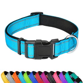 PWOD Reflective Dog Collar, Adjustable Soft Neoprene Padded Nylon Pet Collars with Buckle for Small Dogs, Sky Blue,S