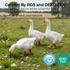FISHDRU Goose Feathers and Down White Pillows with 100% Cotton