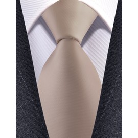 Branduce Silk Champagne Tie Pure Color Plain Business Wedding Formal Necktie for Men (TA05-15)