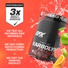 EFX Sports Karbolyn Fuel | Fast-Absorbing Carbohydrate Powder | Carb