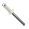 4.8mm x 12mm Grey White Painted Colour Blind Pop Rivet