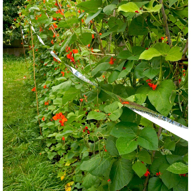 Stay Off Bird Scarer tape - 50 metres - Deterrent