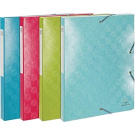 Exacompta 59220E Boite de classement gamme 1928 en carte pélliculée with marquage 600 g dos de 2.5 cm coloris aléatoire framboise, turquoise, vert anis or blue tropice.
