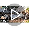 6 Pack Bird Netting for Garden Protection - 3.3x5FT Size