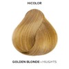 L'OREAL TECHNIQUE L'oreal Excellence Hicolor, Golden Blonde Highlights, 1.2 Ounce