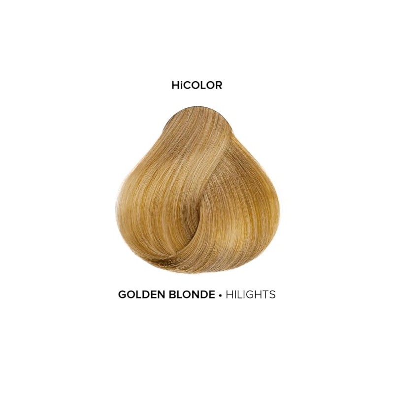 L'OREAL TECHNIQUE L'oreal Excellence Hicolor, Golden Blonde Highlights, 1.2 Ounce