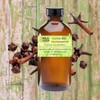 Wild Herb Clove Bud Pure Essential Oil (2 OZ)