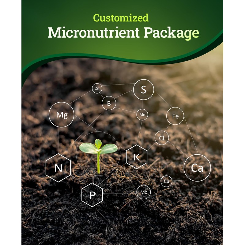 FoxFarm Beastie Bloomz Water Soluble Fertilizer for Mid-Flowering Stage, High