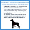ChokeFree Velpro Mesh Pet Shoulder Harness Collar, 17"-18", Blue