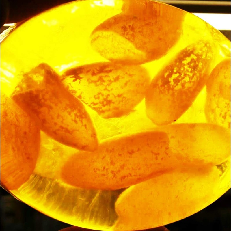 Mayudama Honey Soap, Thai Golden Cocoon Honey Soap