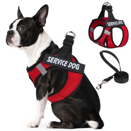 PUPTECK Service Dog Harness and Leash Set for Small Medium Dogs No Pull Step-in Soft Mesh Puppy with 2 Removable Patches Cat Vest Harnesses Reflective at Night, Red, S