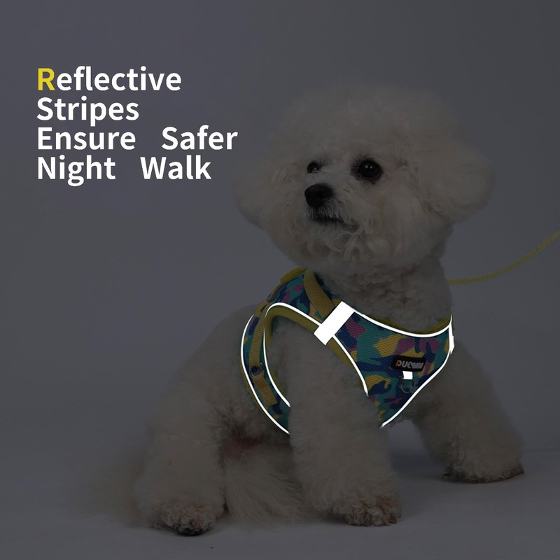 Jolifield Step in Dog Harness with Leash Set, Adjustable Soft