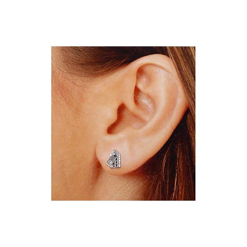 Pendientes Lineargent Plata Ley 925 m Rodiada 9.5 mm Motivo