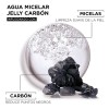 Agua Micelar Jelly Carbón Facial 400 ml Garnier