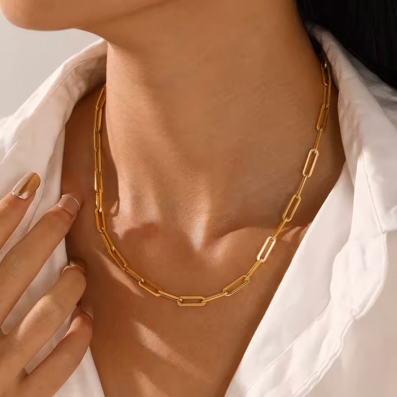 Stainless Steel Link Chain Choker Necklace for Women – Delicate