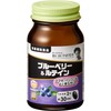 【3個セット】野口サプリメントシリーズ ブルーベリー&ルテイン 目の疲れ ブルーベリー 60粒（約30日分）