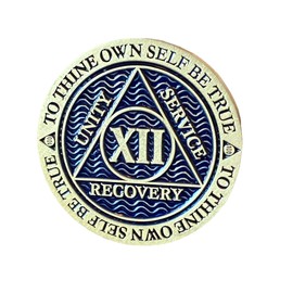 12 Year AA Medallion Reflex Antique Blue Sobriety Chip Serenity Prayer Back
