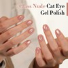 Double Rhythm Jelly Glass Cat Eye Gel Polish with Magnet