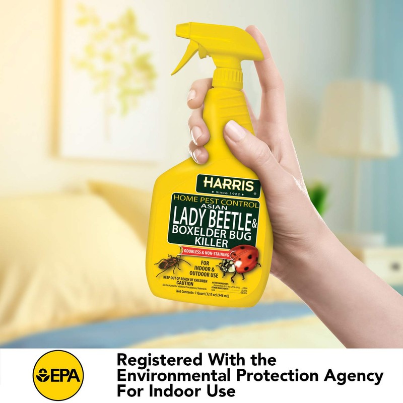 Harris Asian Lady Beetle and Box Elder Killer, Liquid Spray