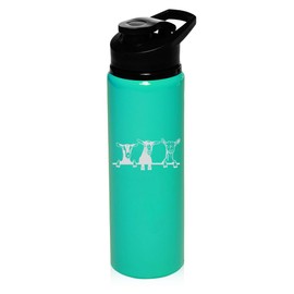 25 oz Water Bottle Sports Travel Mug Gift Goats (Teal)