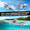 DEERC 3CH Amphibious RC Plane for Water, Land & Air,