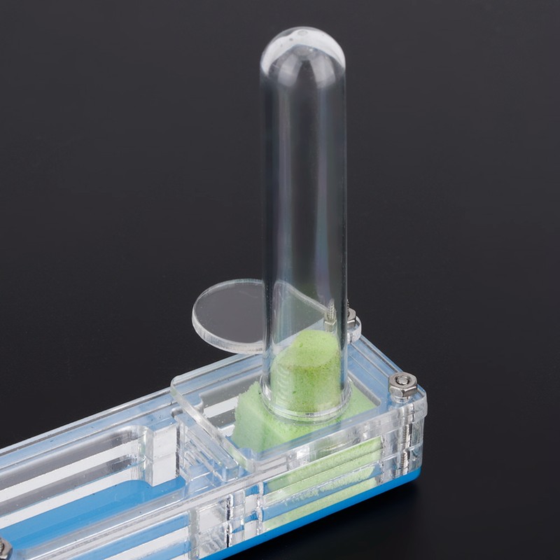 Acrylic Ant Breeding House Nest Formicarium Display Box with Water