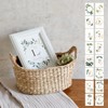 Baby Monthly Cards Green Age Cards