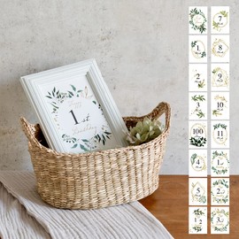 Baby Monthly Cards Green Age Cards
