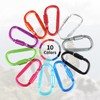 Carabiner Hook - Carabiner - Carabiner Keyring - Pack of