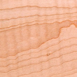Soft Curly Maple by The Piece, 1/4" X 5" X 24"