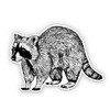 Raccoon - 3" Vinyl Sticker - for Car Laptop Water